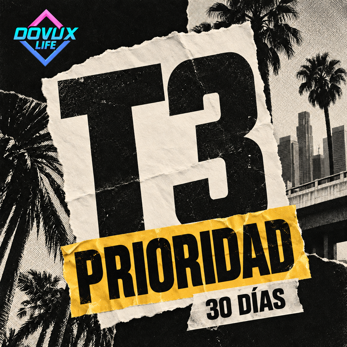 Prioridad T3 (30 Dias)