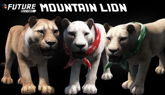 [ANIMAL] Mountain Lion