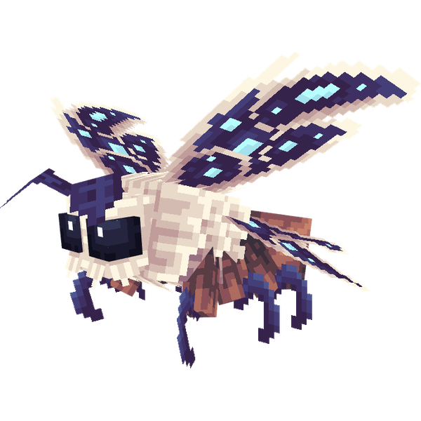 Moth
