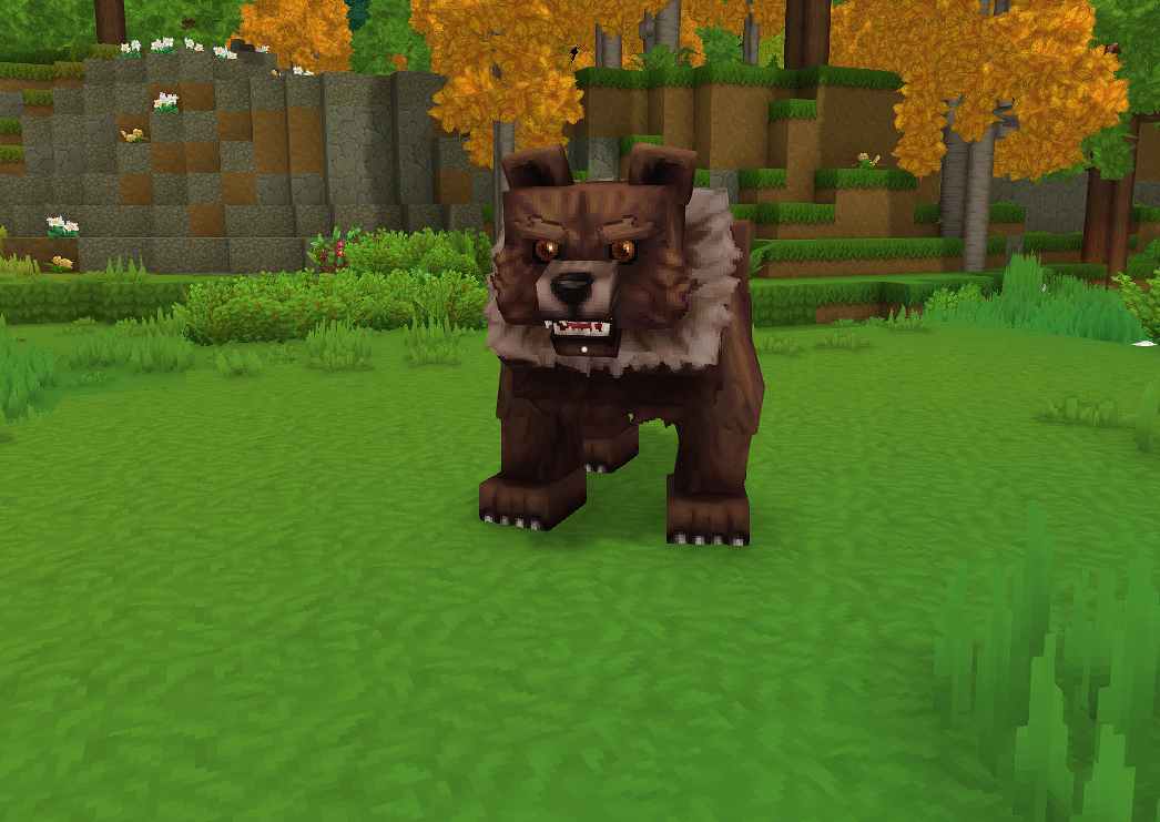 Grizzly Bear