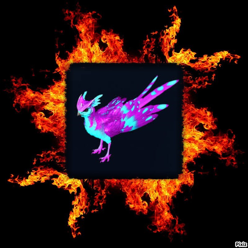 FEATHERLIGHT LEVEL 270    "NEUTERED "
