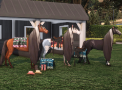 Ranch Props V1