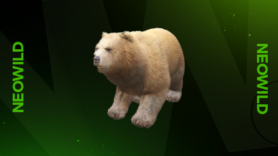 Grizzly Bear