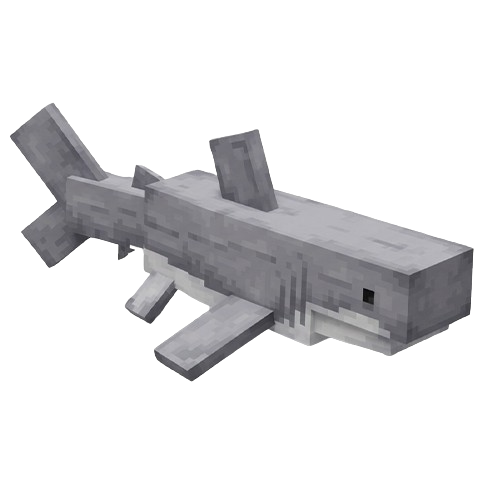 Great White Shark