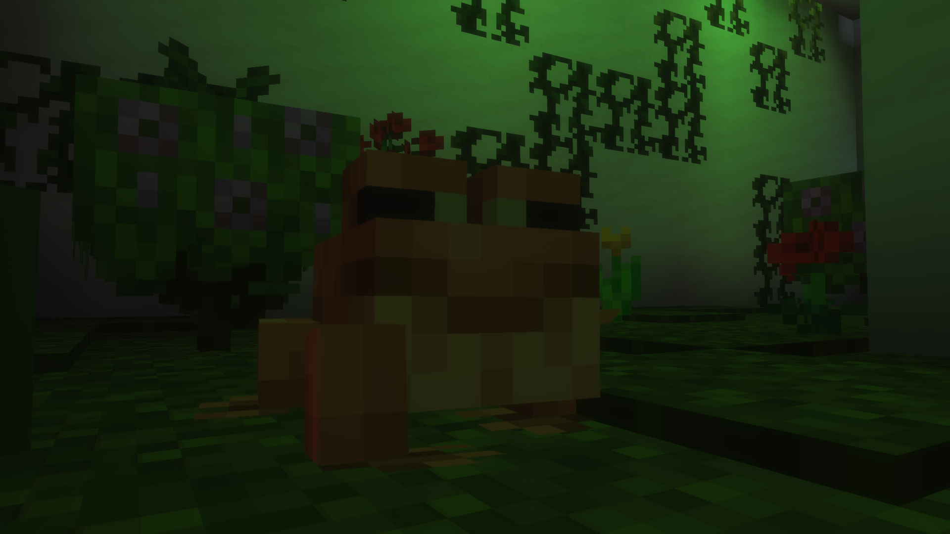 Frog Pet - Orange (Temperate)