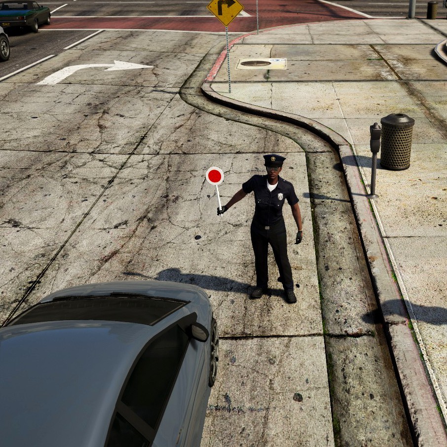 Police stop