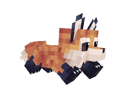 ZORRITO