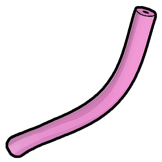 Pool Noodle