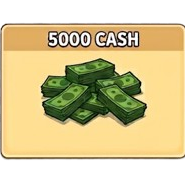 5 000 - Cash