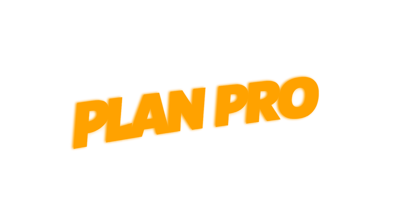 PLAN PRO
