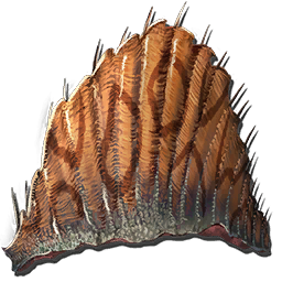 Spino Sail x25