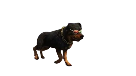 🐕 HUISDIER ROTTWEILER