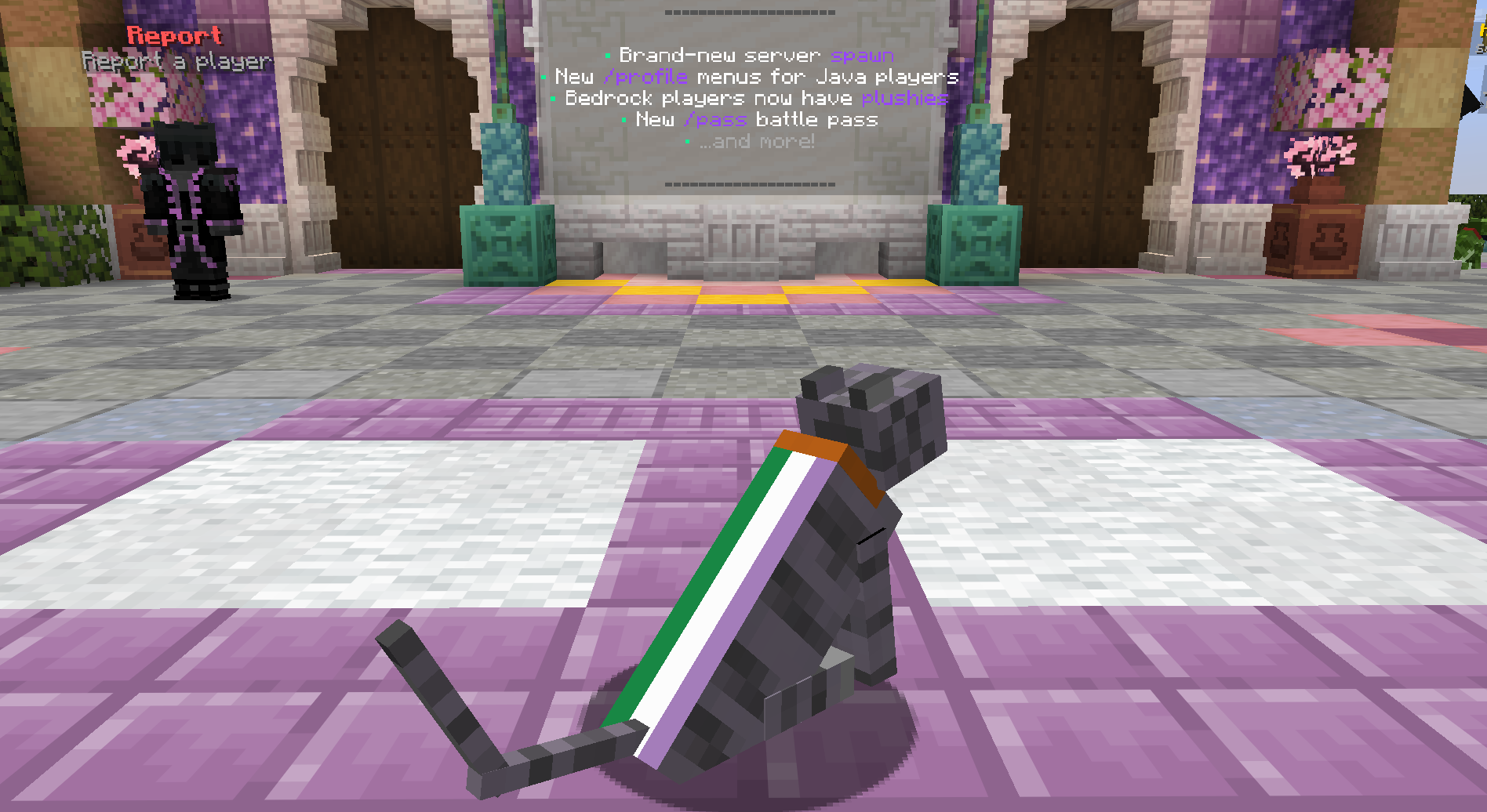 π Genderqueer Pride Cape Cat β cosmetic Cat Skins item on the NovaVoid Cat Civilization Minecraft server