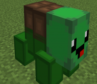Tortuga