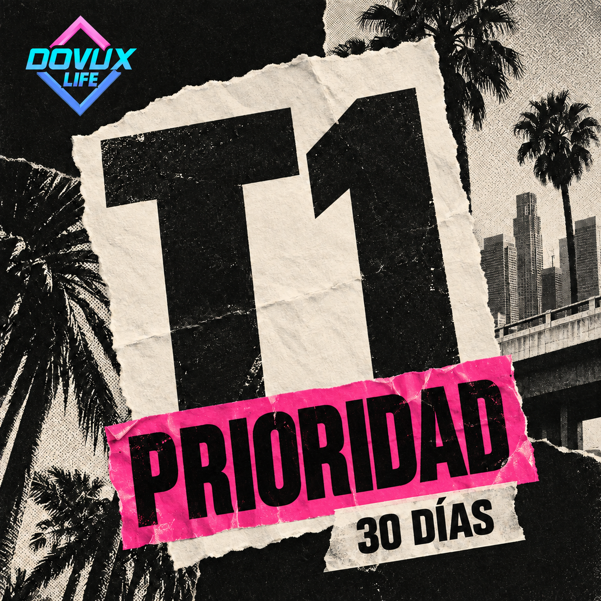 Prioridad T1 (30 Dias)