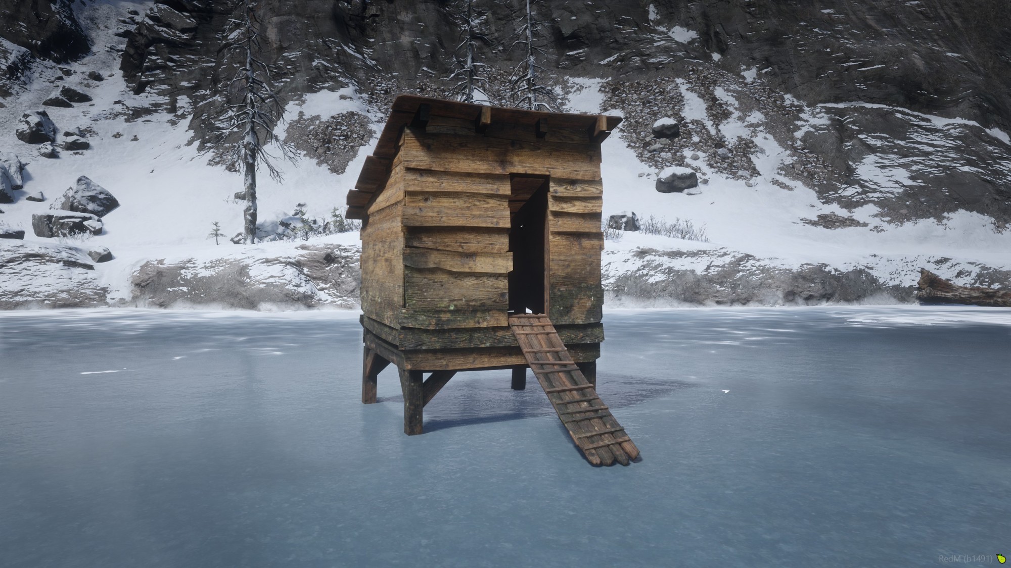 Chicken Coop