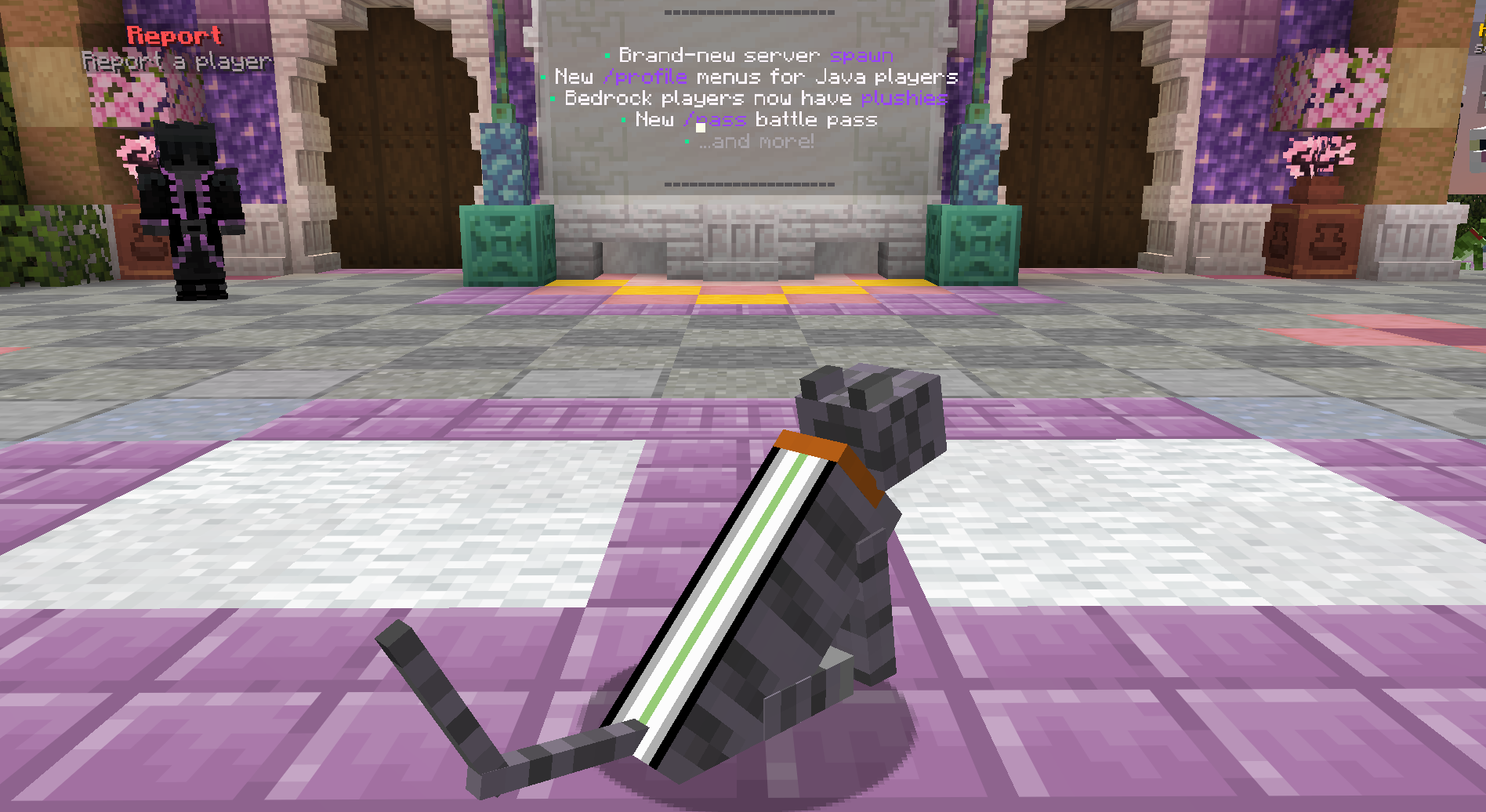 π€ Agender Pride Cape Cat β cosmetic Cat Skins item on the NovaVoid Cat Civilization Minecraft server