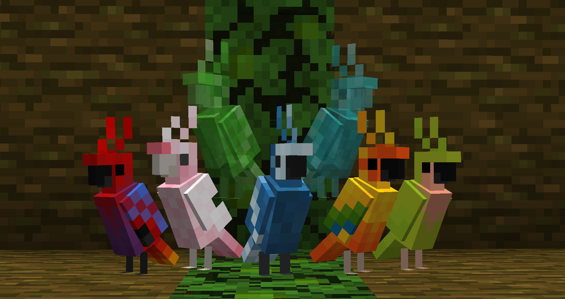 Poppin' Parrot Bundle 😎