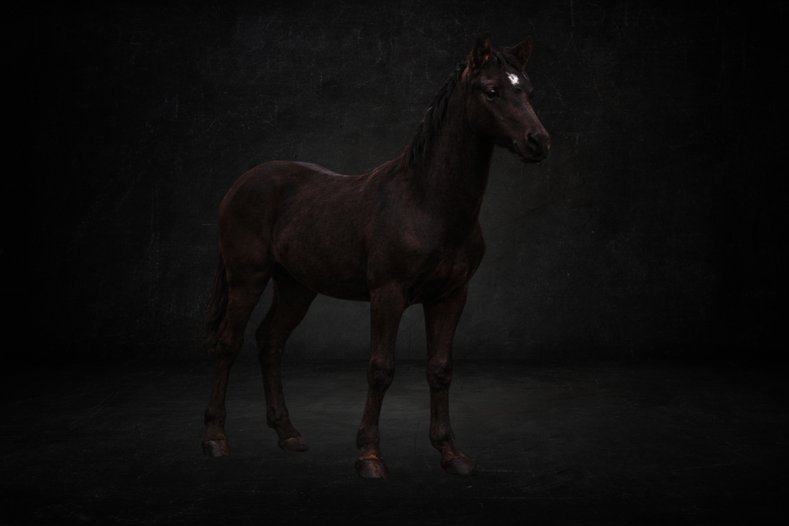 Cheval Adolescent (Monture 1 place ) ( perma )