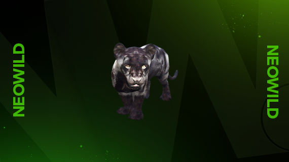 Black Jaguar Cup