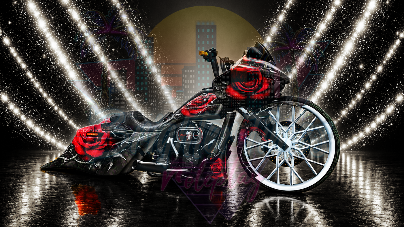 Vehicle Visual Access License: King Bagger 26