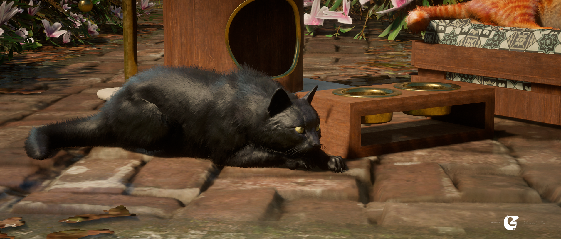 [ Cat Pack ]