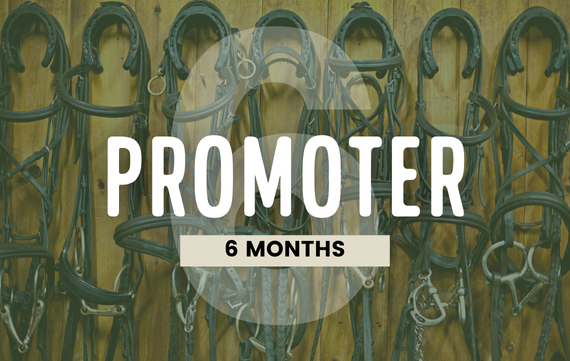6-Month Promoter Bundle