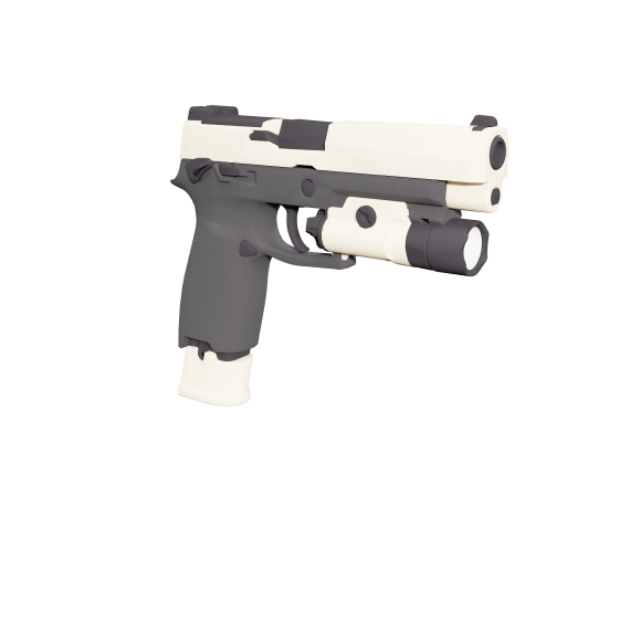 SIG M17