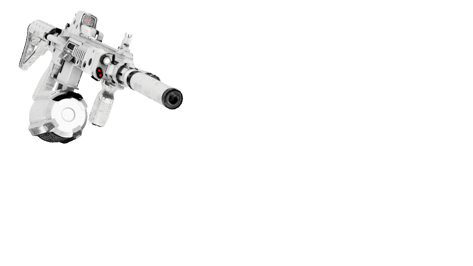 M416 WHITY - AR