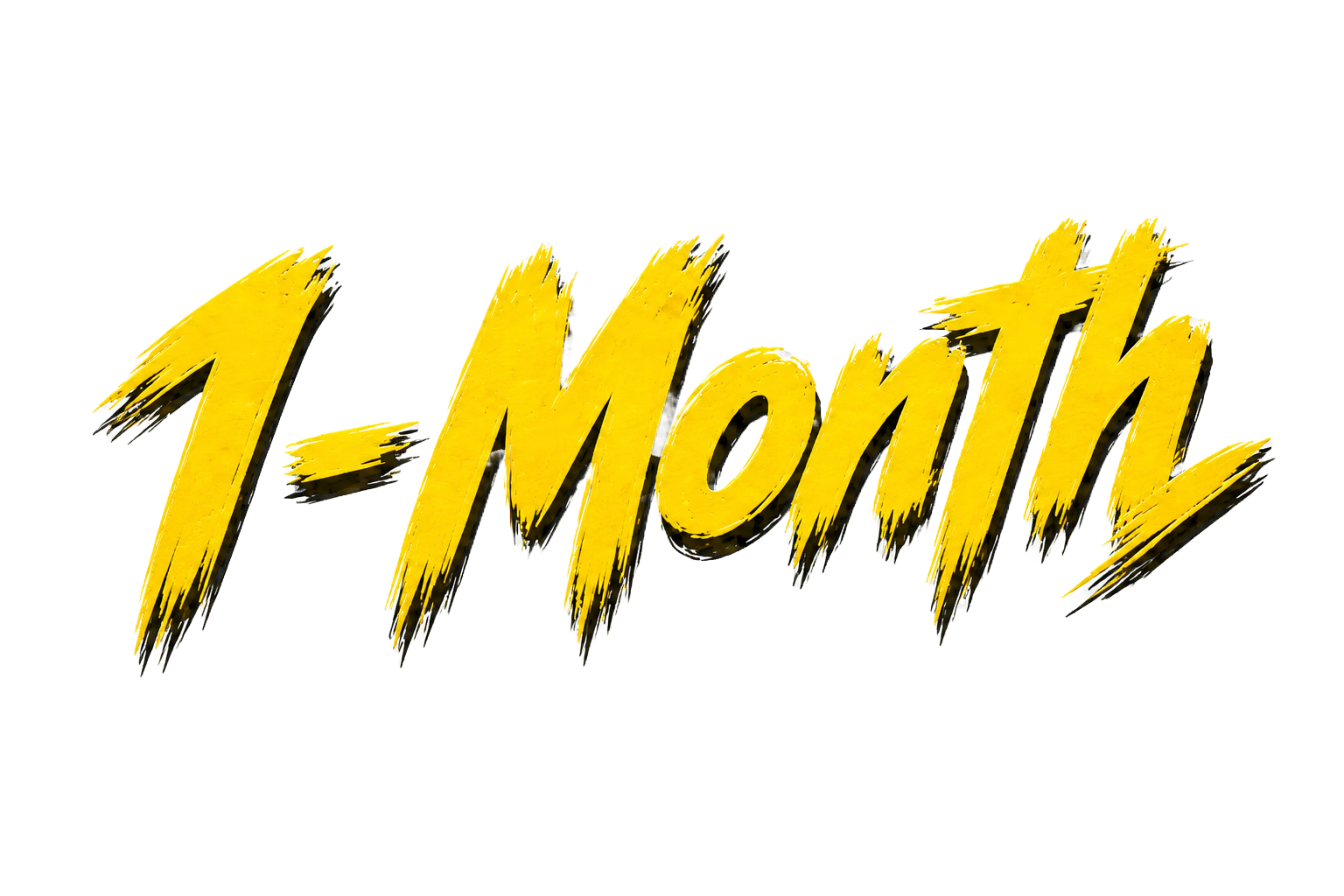 1-Month Access
