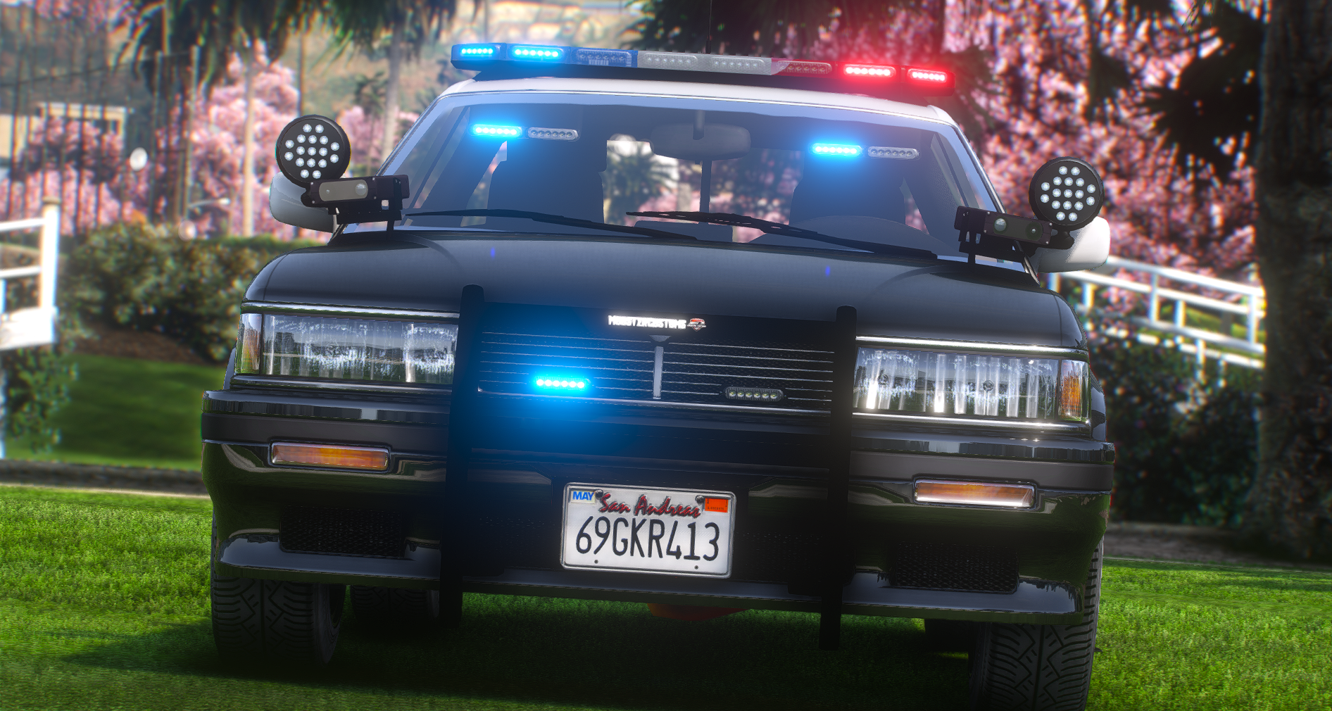 Police Annis Hardy