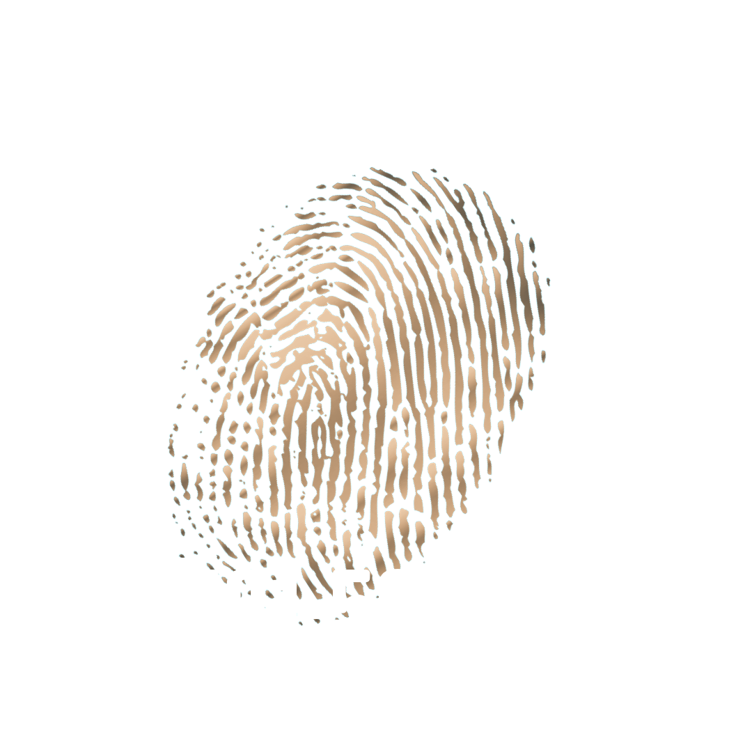 ID's: 101-500