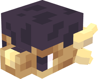 Anklysaurus