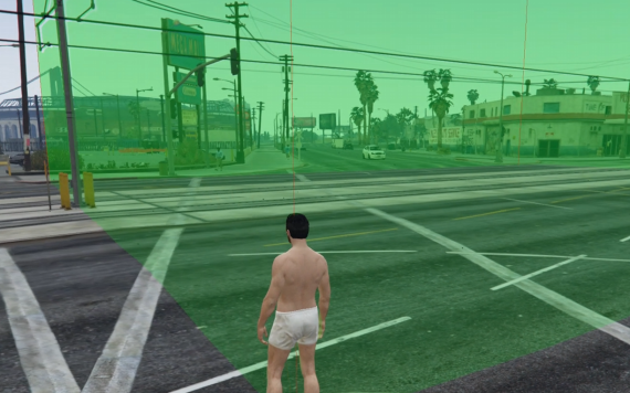 NPC & CAR Remover