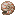 Nautilus Shells (8×)