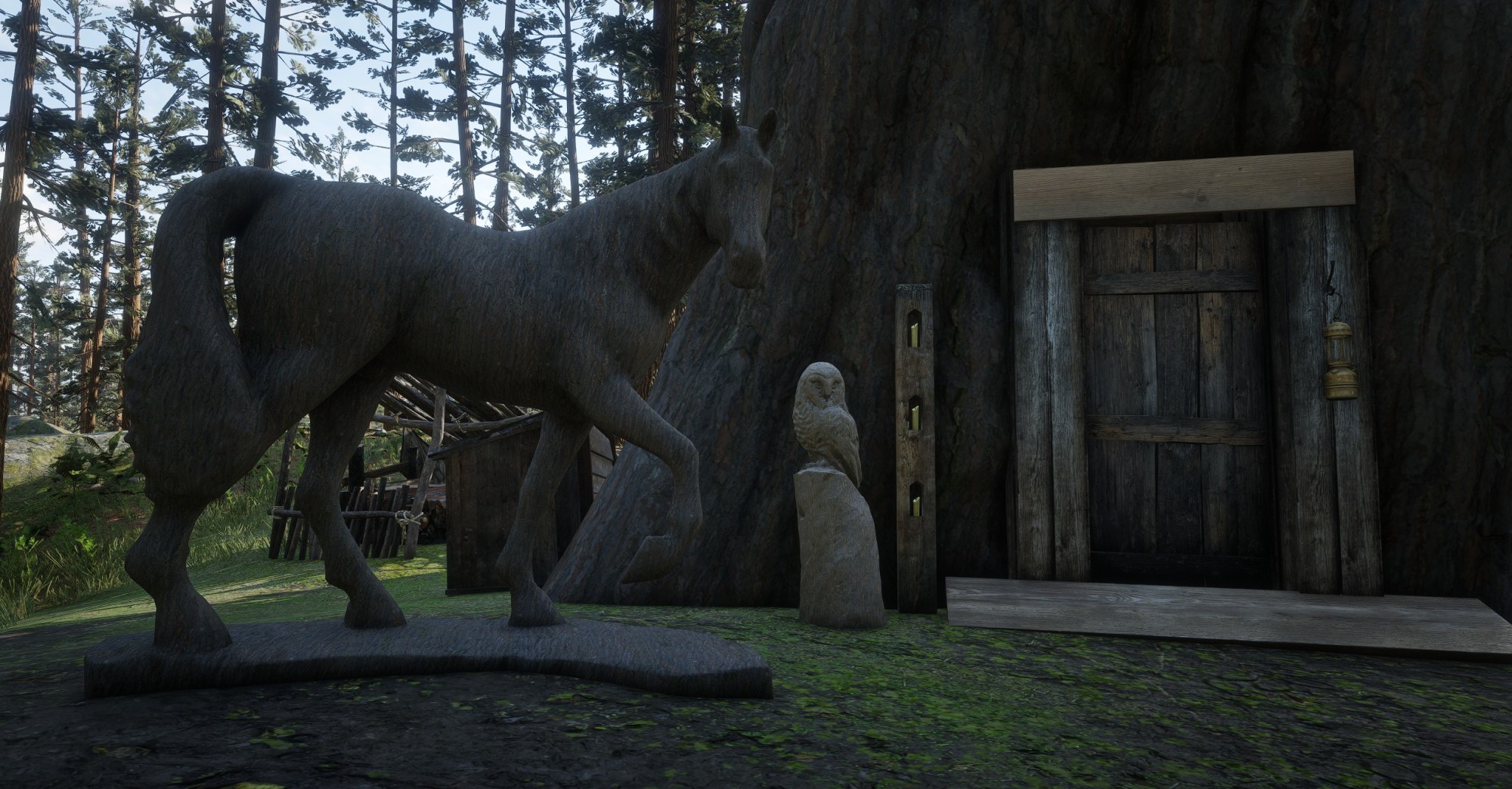 The Redwood Refuge