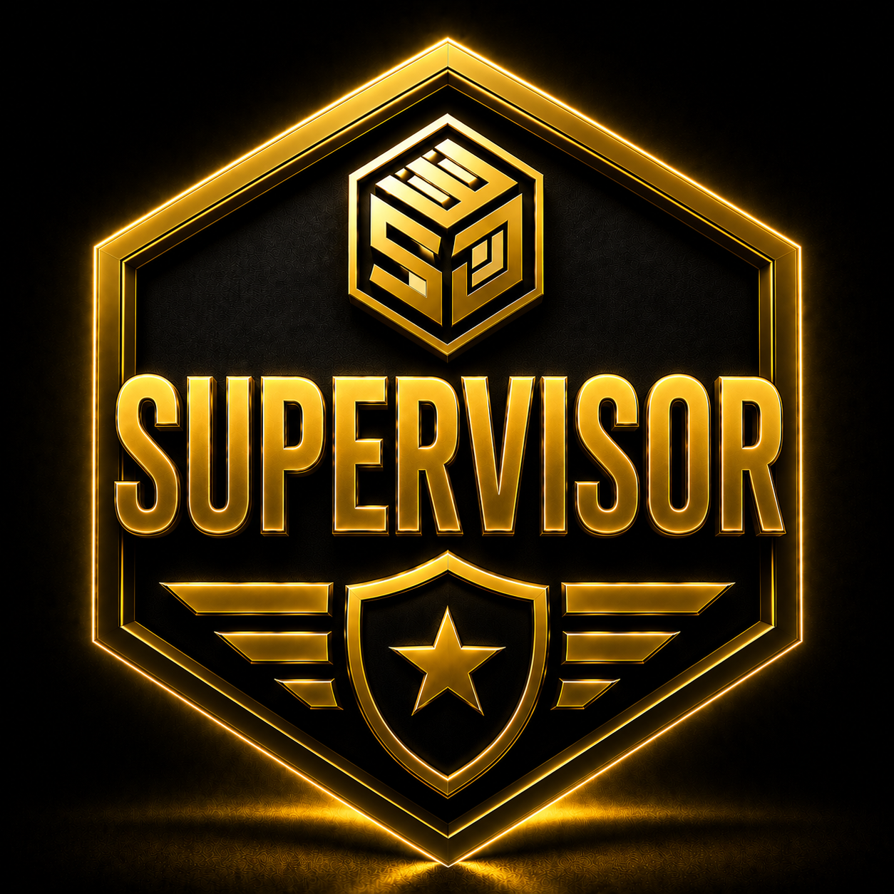 🛡️Supervisor