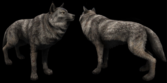 Loup Lupus