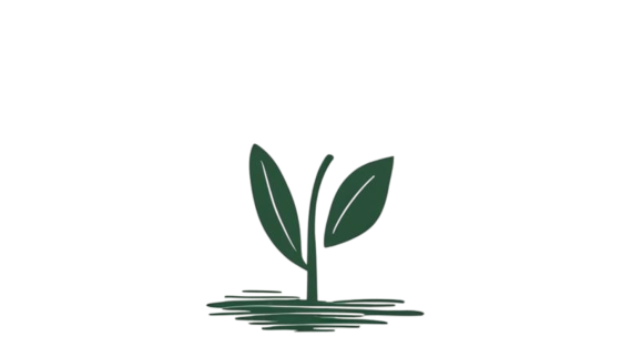 Sprout