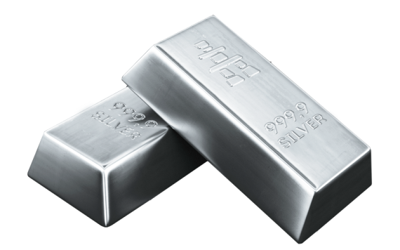 Silver Supporter