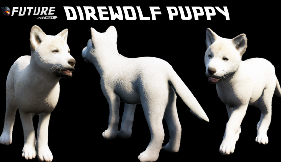 Direwolf Puppy