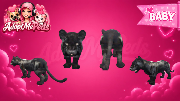 Black Jaguar & Black Jaguar Cup