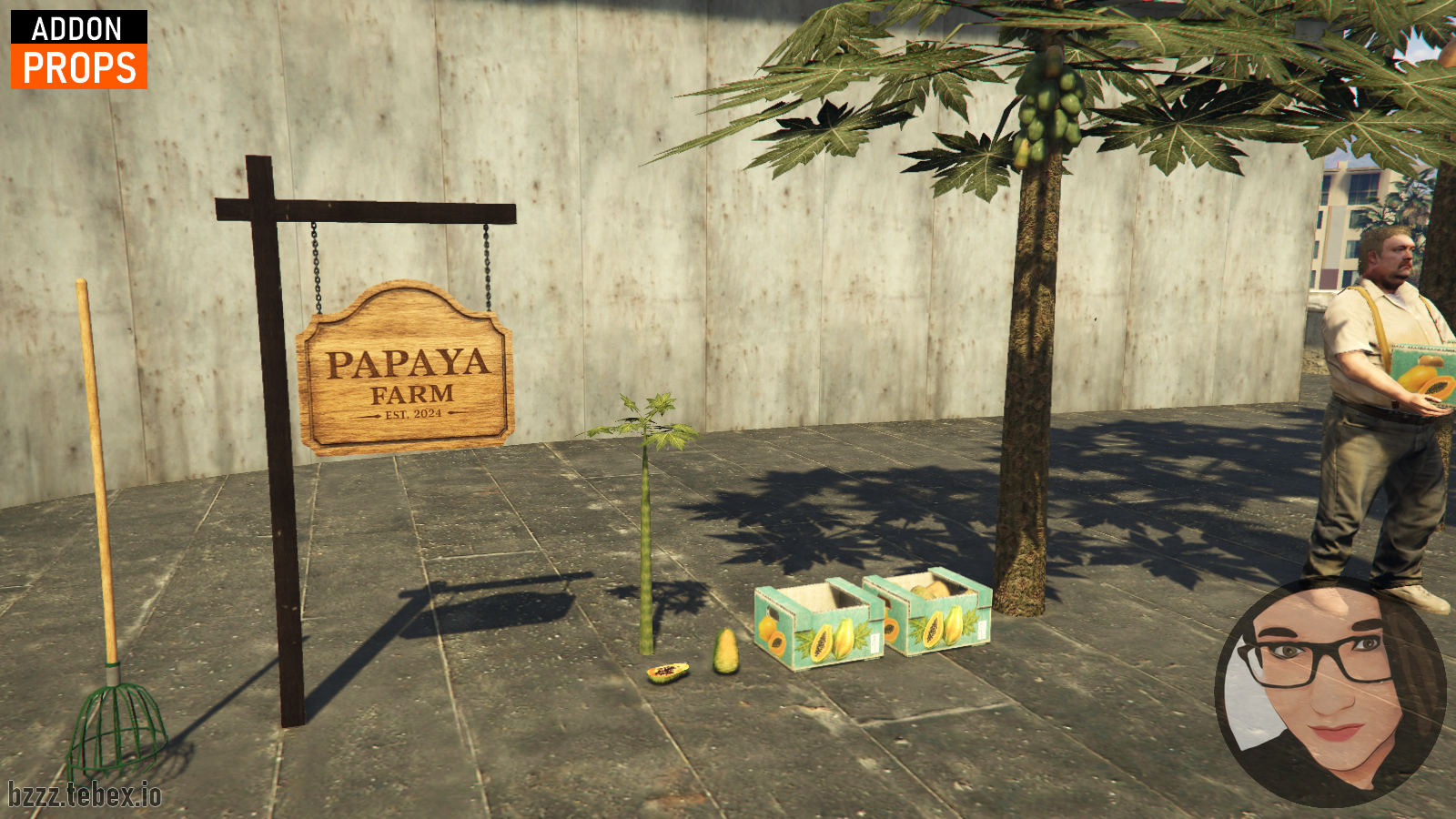Papaya plant