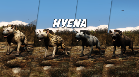 Hyena