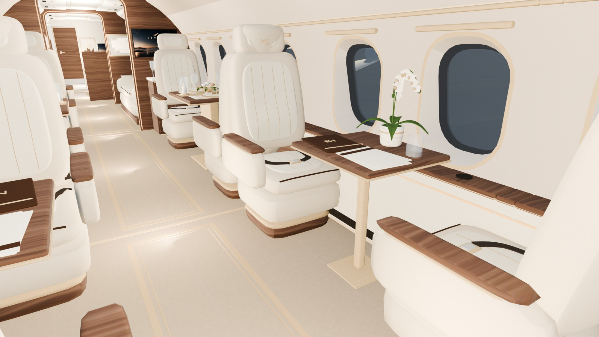 MS8000 | Ultra-Long-Range Luxury Business Jet | Walkable Cabin