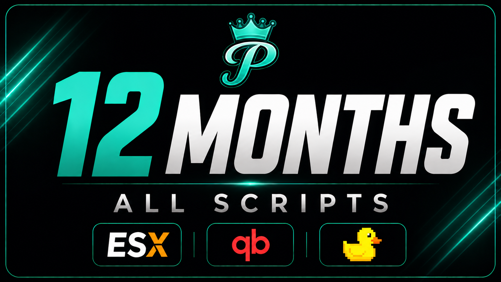 [12 Months] - All Scripts