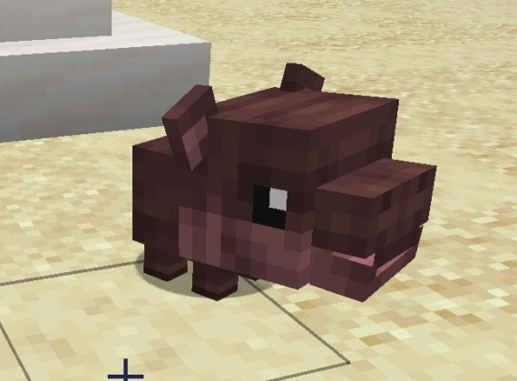 Pygmy Hippo