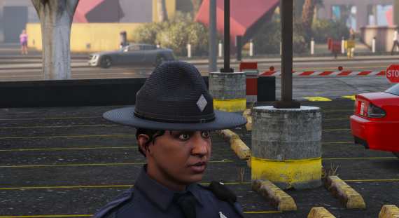 Campaign Hat - state options
