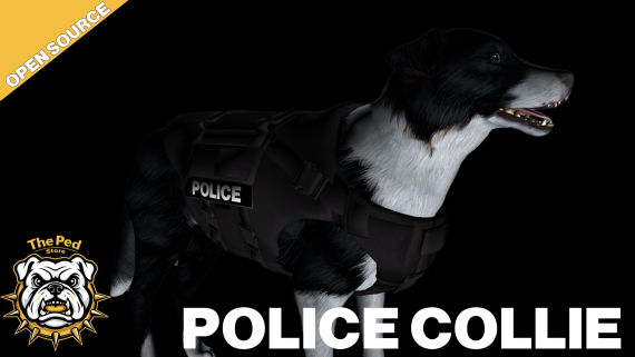 (Open Source) PD Collie