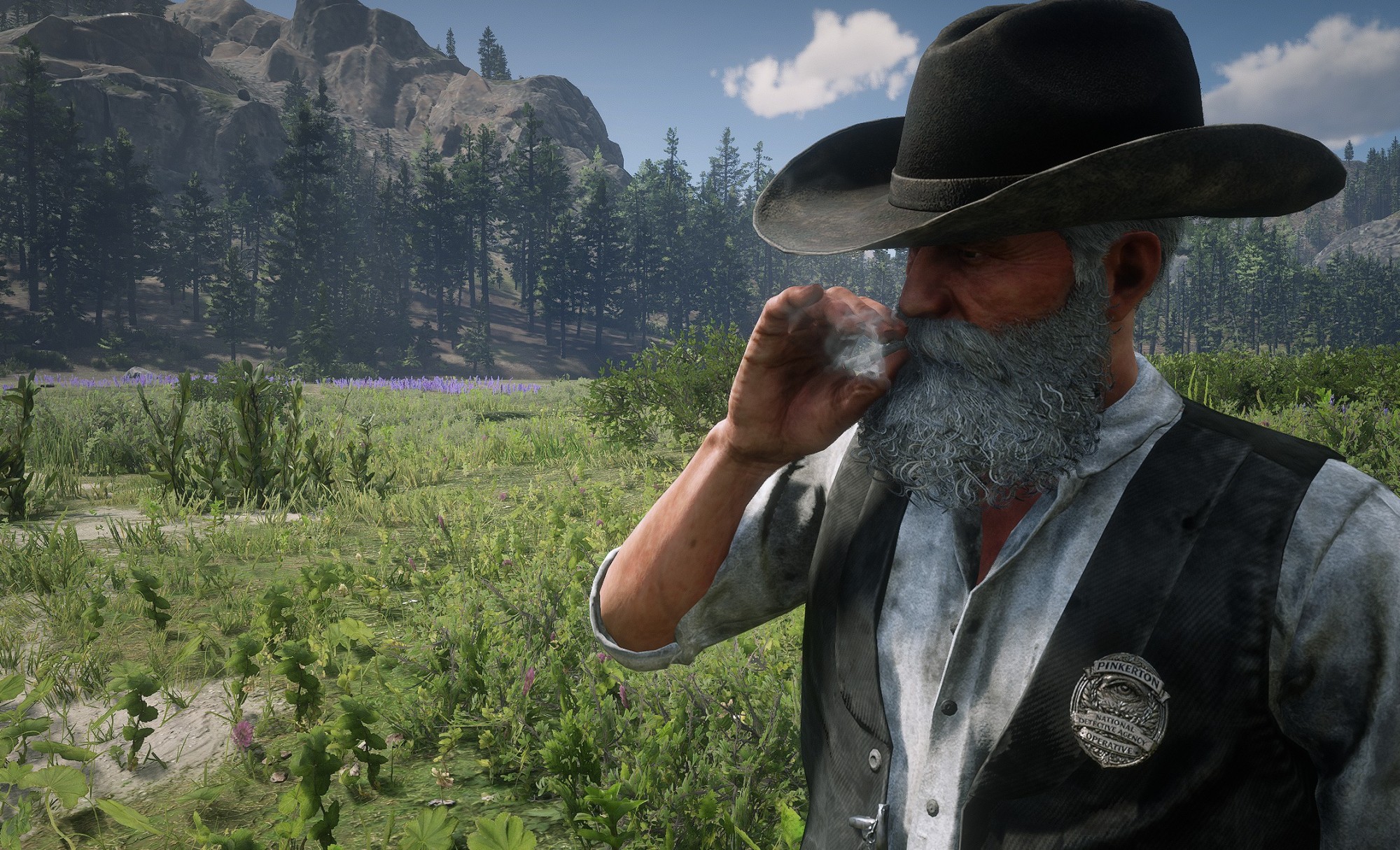 Lawman Badges Collection